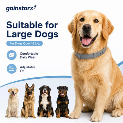 Gainstarx Adjustable Lightweight Dog Collar - Fresh Scented Comfort for Large Dogs Over 18 Lbs - Perfect for Everyday Walks and Outdoor Adventures