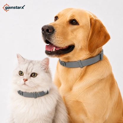 Gainstarx Adjustable Lightweight Dog Collar - Fresh Scented Comfort for Large Dogs Over 18 Lbs - Perfect for Everyday Walks and Outdoor Adventures