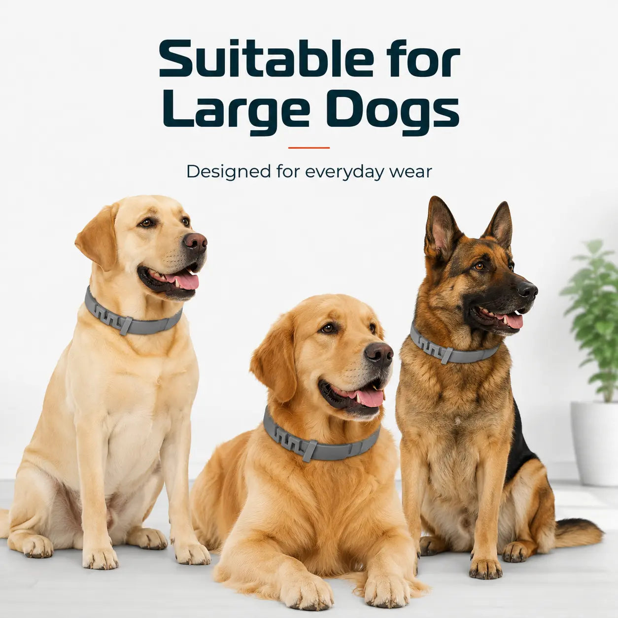 Gainstarx Adjustable Lightweight Dog Collar - Fresh Scented Comfort for Large Dogs Over 18 Lbs - Perfect for Everyday Walks and Outdoor Adventures