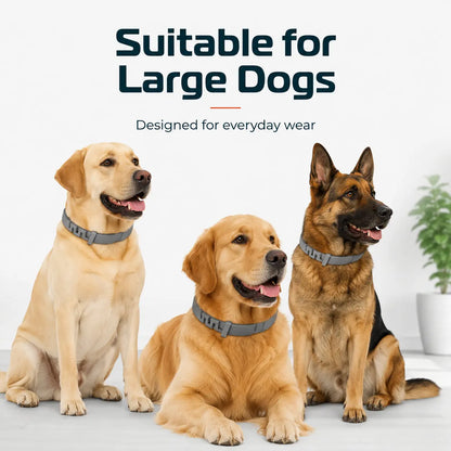 Gainstarx Adjustable Lightweight Dog Collar - Fresh Scented Comfort for Large Dogs Over 18 Lbs - Perfect for Everyday Walks and Outdoor Adventures